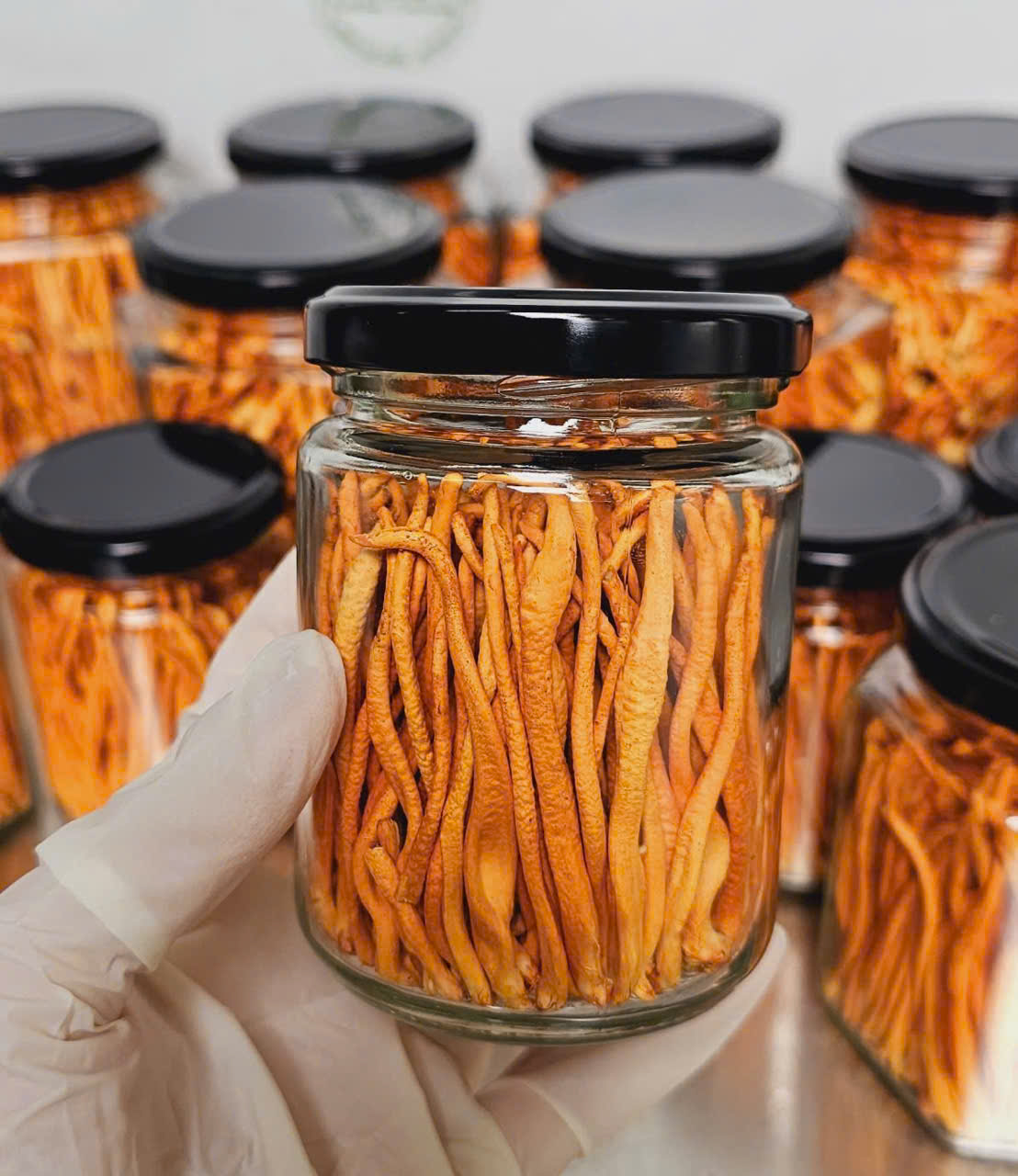  Đông Trùng Hạ Thảo khô- Hũ thủy tinh 10gr - cao cấp